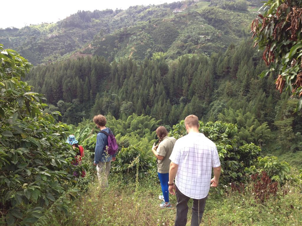 Mirador Finca Morrogacho Manizales Exterior photo