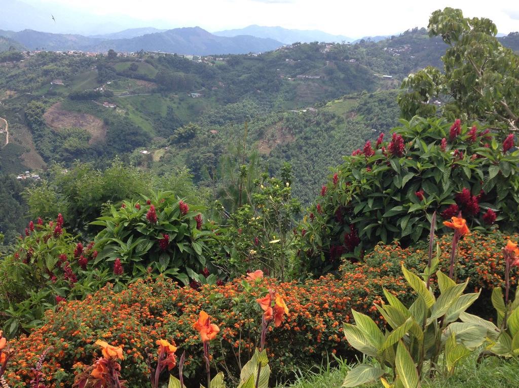 Mirador Finca Morrogacho Manizales Exterior photo